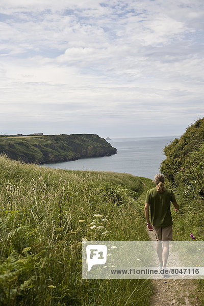 United Kingdom  Wales  Rear view of man walking on coastal path  Pembrokeshire