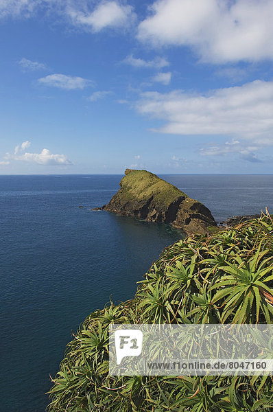 View of coastline  Sao Miguel Island  Azores  Portugal