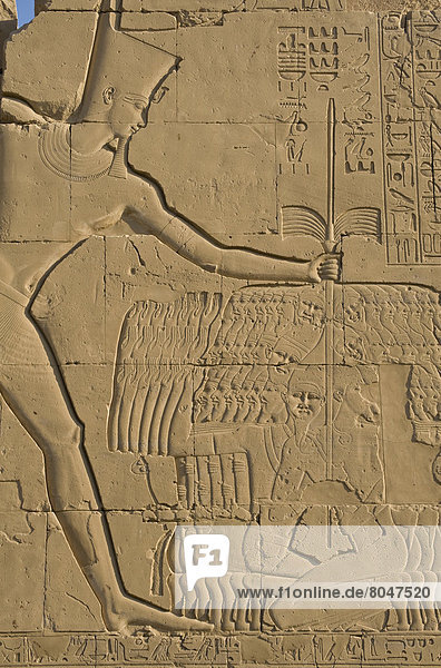 Wand  Ägypten  Tempel von Karnak  Karnaktempel  Luxor