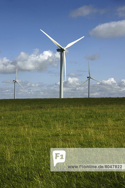 Windturbine Windrad Windräder Großbritannien England North Yorkshire
