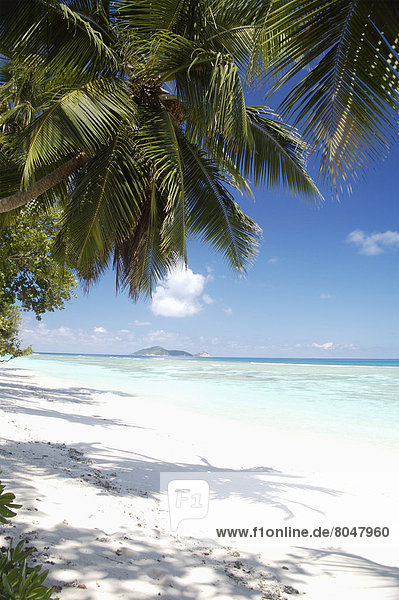 neuseeländische Nordinsel  Seychellen