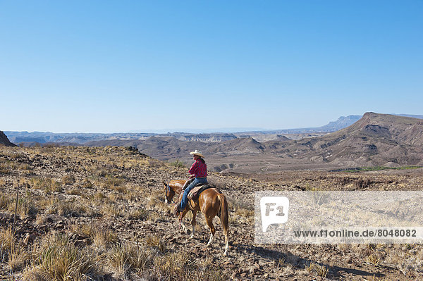 Vereinigte Staaten von Amerika  USA  zwischen  inmitten  mitten  Mann  Landschaft  fahren  Wüste  reiten - Pferd  Texas