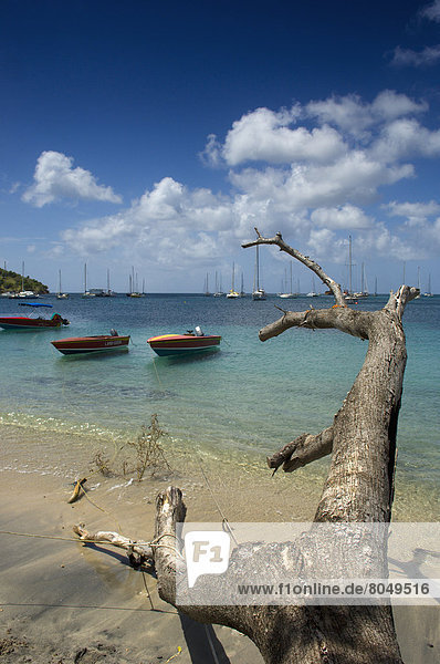 View of Tyrrel Bay  Carriacou Island  Grenadines  Grenada  Caribbean