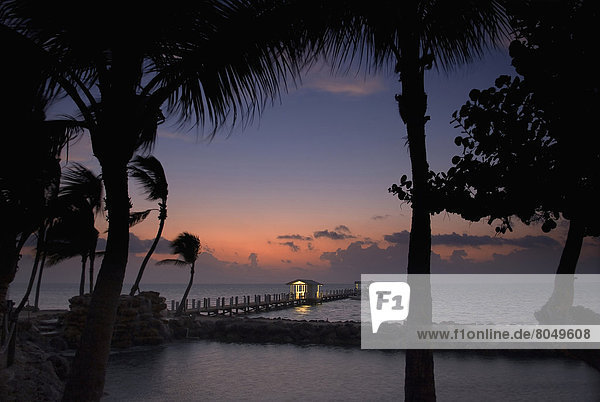 Sunrise over pier and boat dock  Islamorada  Florida Keys  Florida  USA