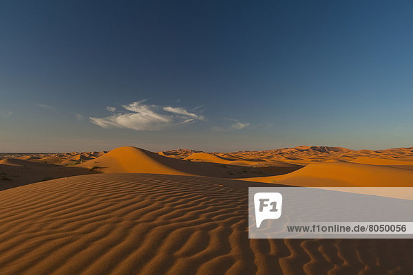 nahe  Wüste  Sand  Düne  Sahara  Abenddämmerung  Merzouga  Marokko