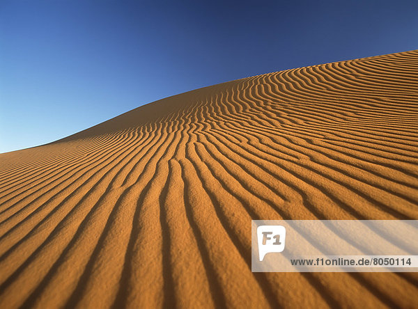 nahe  Detail  Details  Ausschnitt  Ausschnitte  Morgendämmerung  Sand  Düne  Merzouga  Marokko