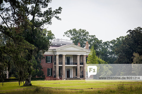 Melrose Historic House  Natchez  Mississippi  USA