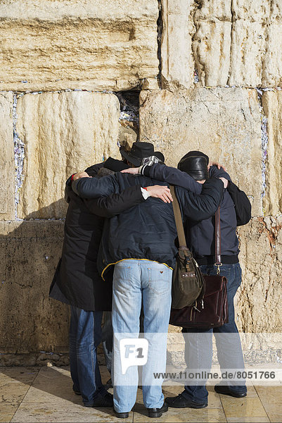 Group of pilgrims praying together at Western Wall  Old City  Jerusalem  Israel