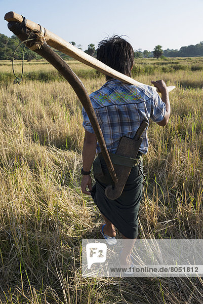 Farmer carrying wooden tool across fields  Yea Thoe  Irrawaddyi Division  Myanmar (Burma)