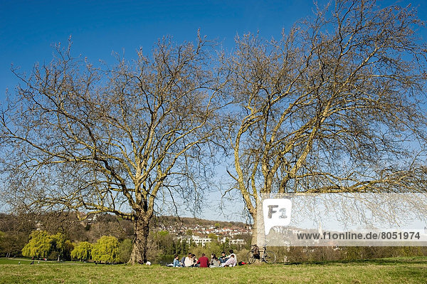 People enjoying the sun in Primrose Hill in Hampstead  North London  London  England  UK