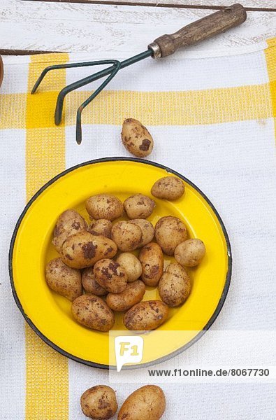 Neue Kartoffeln auf einem gelben Teller