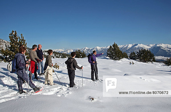 Font-Romeu (66): Family snowshoe walk. In the background  the Pyrenees Mountain Range and snow-capped summits. everlasting snows  blue sky  nice weather  sun  walk  powder snow  ski slopes  off-piste