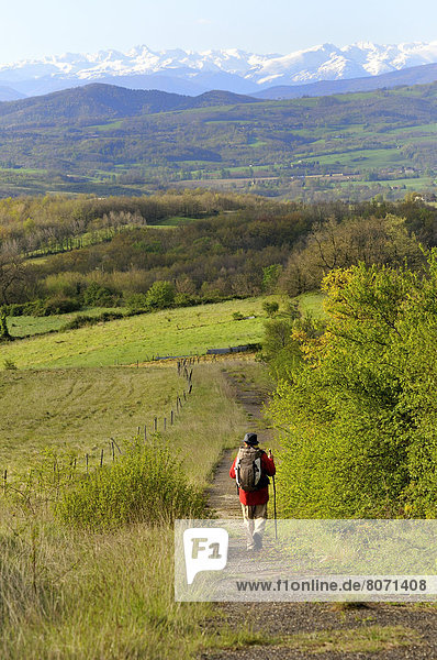 Rural landscape in the Pre-Pyrenees between Pamiers and Le Mas d'Azil in the Ariege department (09) : Pilgrim carrying a backpack  walking on a path