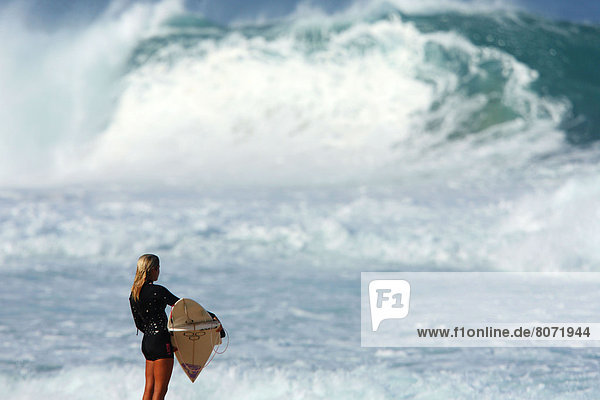 blond Kleidung sehen Surfboard Wellenreiten surfen schwarz jung Haar gebräunt braun