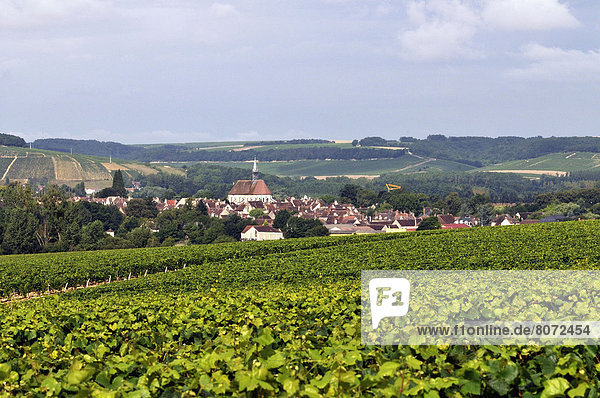 'Chablis  on the Way of St James  route called ''voie de Namur'': the city surrounded by vineyards'