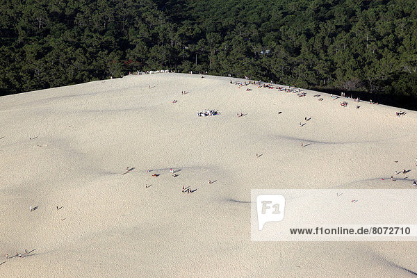La Teste de Buch (Gironde  Aquitaine  France): Aerial view of the Dune of Pyla. Sea  ocean  people  people  persons  Walkers