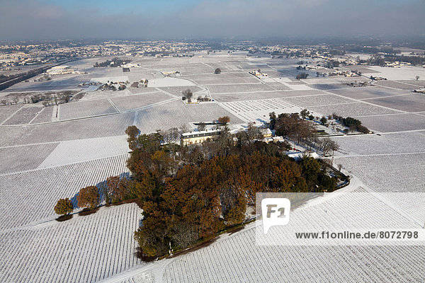 Laubwald  Frankreich  Winter  bedecken  Landschaft  Weinberg  Zimmer  Aquitanien  Bordeaux  Schnee