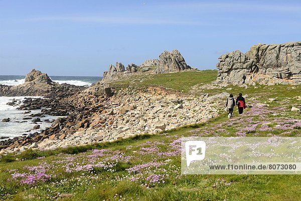 'Ushant (island) (29): Trip to the ''Ile Sentinelle'' island off the Breton coast in the Iroise Sea. Rocky coast of Porz Coret  flowers  couple having a walk'