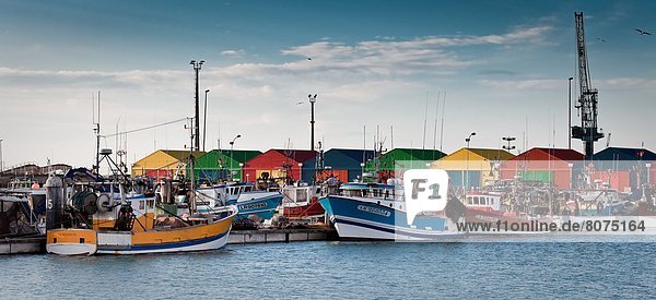 Farbaufnahme Farbe Hafen Fisch Pisces Frankreich Gebäude Produktion angeln 4 Köchin alt Jahr