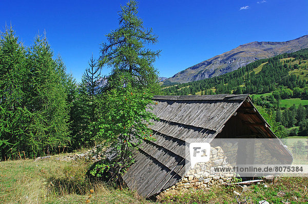 Deserted barn in the high mountain pastures of the Ubaye Valley  near the ski resort of Sauze-super-Sauze.
