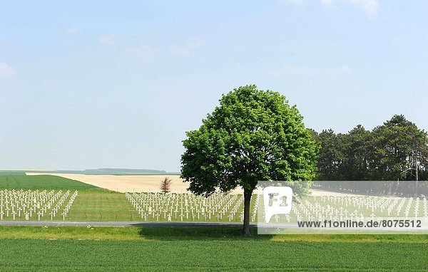 Feuerwehr  Baum  Krieg  Friedhof  Marne
