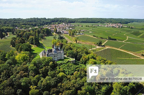 Palast  Schloß  Schlösser  Wein  über  Dorf  Nostalgie  Ansicht  bauen  Entscheidung  Luftbild  Fernsehantenne  Witwe