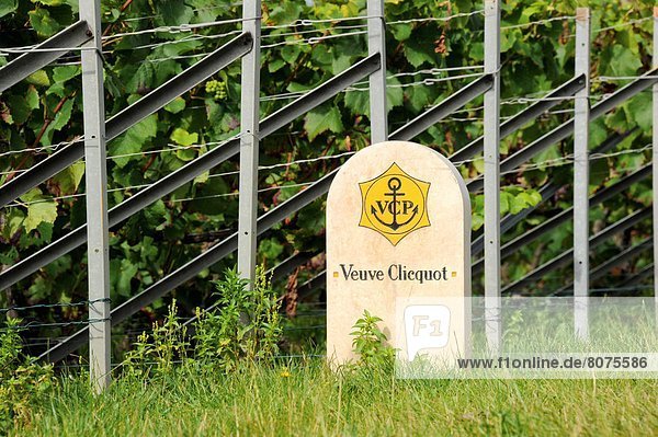 Feuerwehr  nahe  Wein  Eigentum  Produktion  Symbol  Champagner  Kilometer  Marne  Straßenrand  Reben  Weinberg