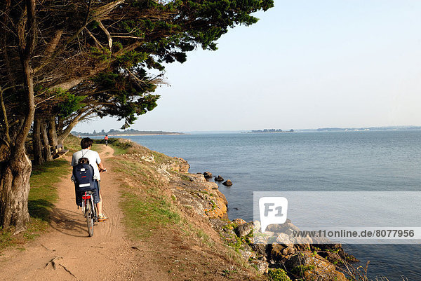 'Bicycle ride on the coastal paths of the ''ile d'Arz'' island in the Gulf of Morbihan (56) : father and his daughter in a baby bike seat'
