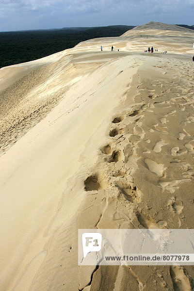 Walkers and footprints in the sand on the dune of Pilat (or Pyla) in the Arcachon Bay(Gironde  Aquitaine  France)