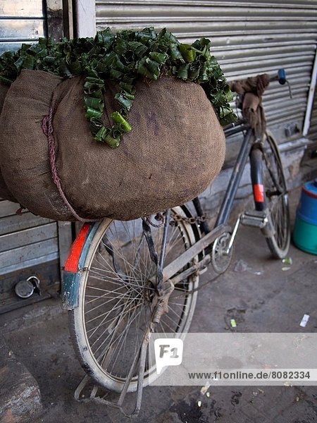 Delhi  Hauptstadt  Pflanzenblatt  Pflanzenblätter  Blatt  Tasche  grün  Fahrrad  Rad  verkaufen  Feston  Indien  neu