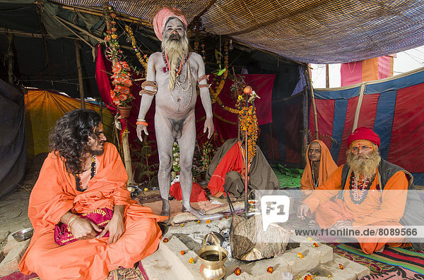 Shiva sadhu  holy man  with some fellow sadhus in his tent at the Sangam  the confluence of the rivers Ganges  Yamuna and Saraswati  during Kumbha Mela festival