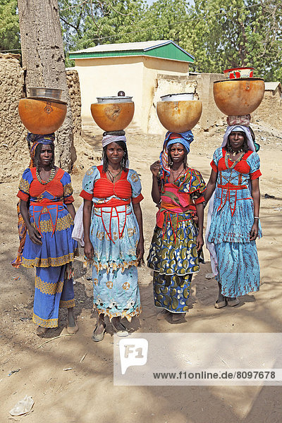 Fulani-Frauen tragen Milch-Kalebassen auf dem Kopf