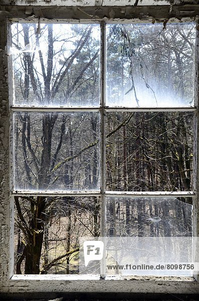 Window in an old russian barrack  Brandenburg  Germany  Europe