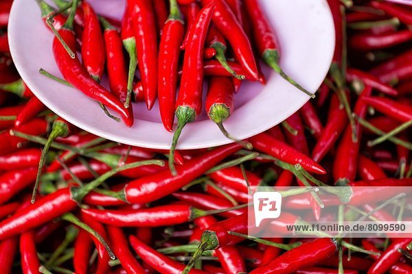 Peperoni  Stadt  rot  verkaufen  Myanmar  Asien  Markt  Shan Staat