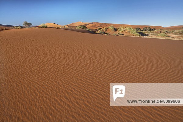 Wüste  Sand  Namibia  Namib Naukluft Nationalpark  Düne  Namib  Afrika  antik  Sossusvlei