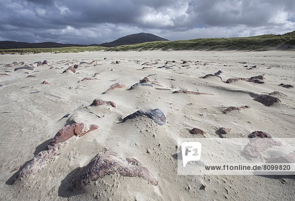 Muster  Europa  Strand  blasen  bläst  blasend  Großbritannien  Wind  Sand  Produktion  Fokus auf den Vordergrund  Fokus auf dem Vordergrund  Schottland