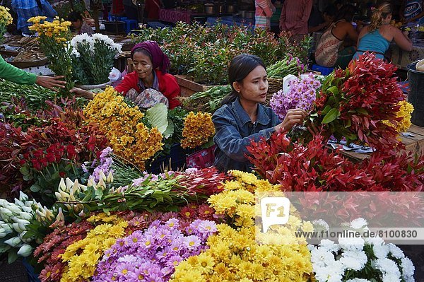 Blumenmarkt  Myanmar  Asien