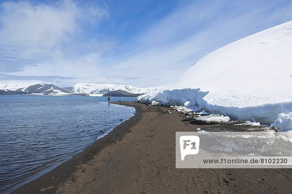 Volcanic beach in front of the glacier ice of Deception Island  South Shetland Islands  Antarctica  Polar Regions