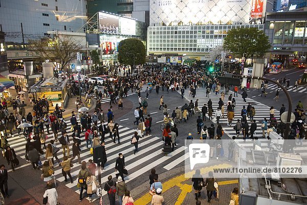 überqueren  Mensch  Menschen  Straße  Tokyo  Hauptstadt  Asien  Japan