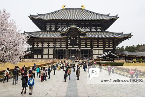 UNESCO-Welterbe  Asien  Japan  Nara