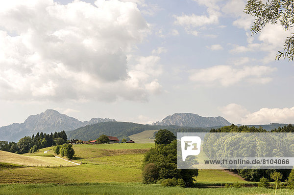 Landschaft im Berchtesgadener Land