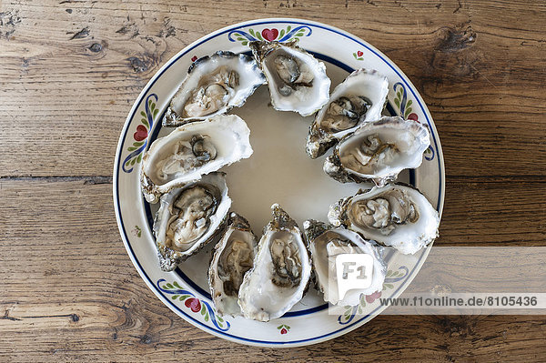 Bretonische Austern geöffnet auf Teller