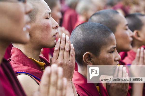 Young monks praying at the Dalai Lama's Teachings. The Dalai Lama visited Leh  Ladakh - a Buddhist enclave in northern India  for four days in August © James Sparshatt / Axiom
