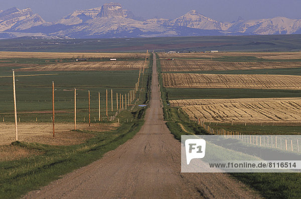 North America USA Montana Sky Mountains Snow Grass Farm Field Wheat Farms Fence Nobody Still Landscape Nature Vast Long Straight Open Scenic Winter Cool Pleasant Solitude Outdoors Day Front View Distant Horizontal Color Image Photography