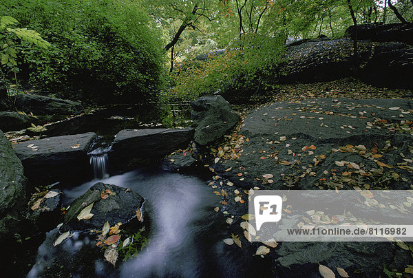 nobody horizontal color image photography New York City Central Park USA close-up view waterfall trees pond landscapes water Leaves scattered stream peaceful quite flow stones rocks rambles outdoors Manhattan beauty park