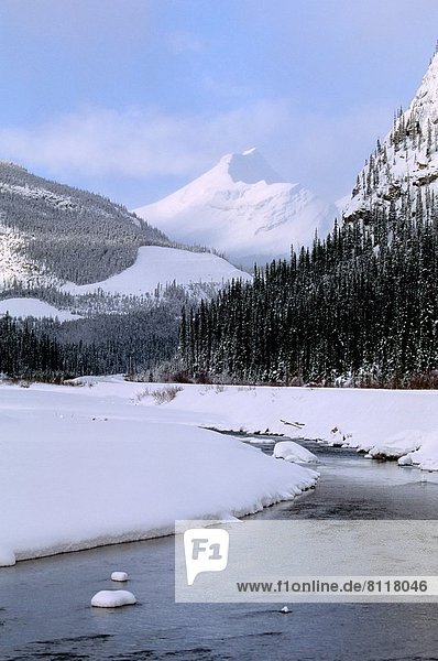 Rocky Mountains  Banff Nationalpark  Alberta  Kanada