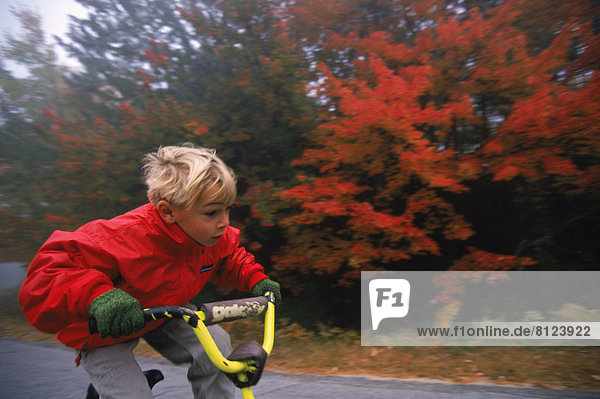 Flowers Sky Red Jacket Hand Gloves Blonde Hair One Person Young Boy Small Boy Caucasian Ethnicity Cycling Riding Holding Speed Exercise Fall Fall Leaves Fun Fast Energy Outdoors Day Side View Close-Up Horizontal Color Image Photography