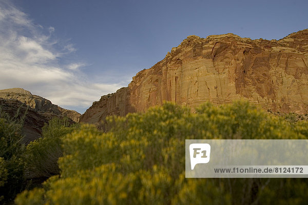 Capital Reef National Park Scenic Southwest Desert sandstone cliffs Arid Climate Beige Brown Day Landscape Mountain Outdoors Rock Nature Scenics Toughness Tranquil Scene Color Image Horizontal Nobody Photography majestic Capitol Reef National Park