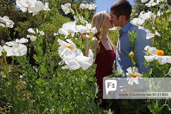 Junges Paar  das sich auf dem Feld mit weißen Blumen küsst.