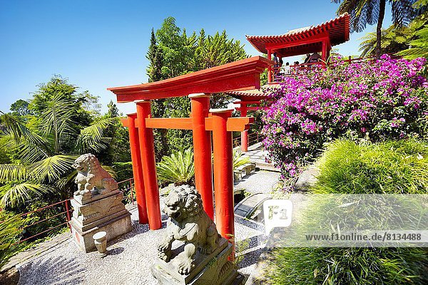 Japanischer Garten Karlsruhe Baden Wurttemberg Deutschland Europa